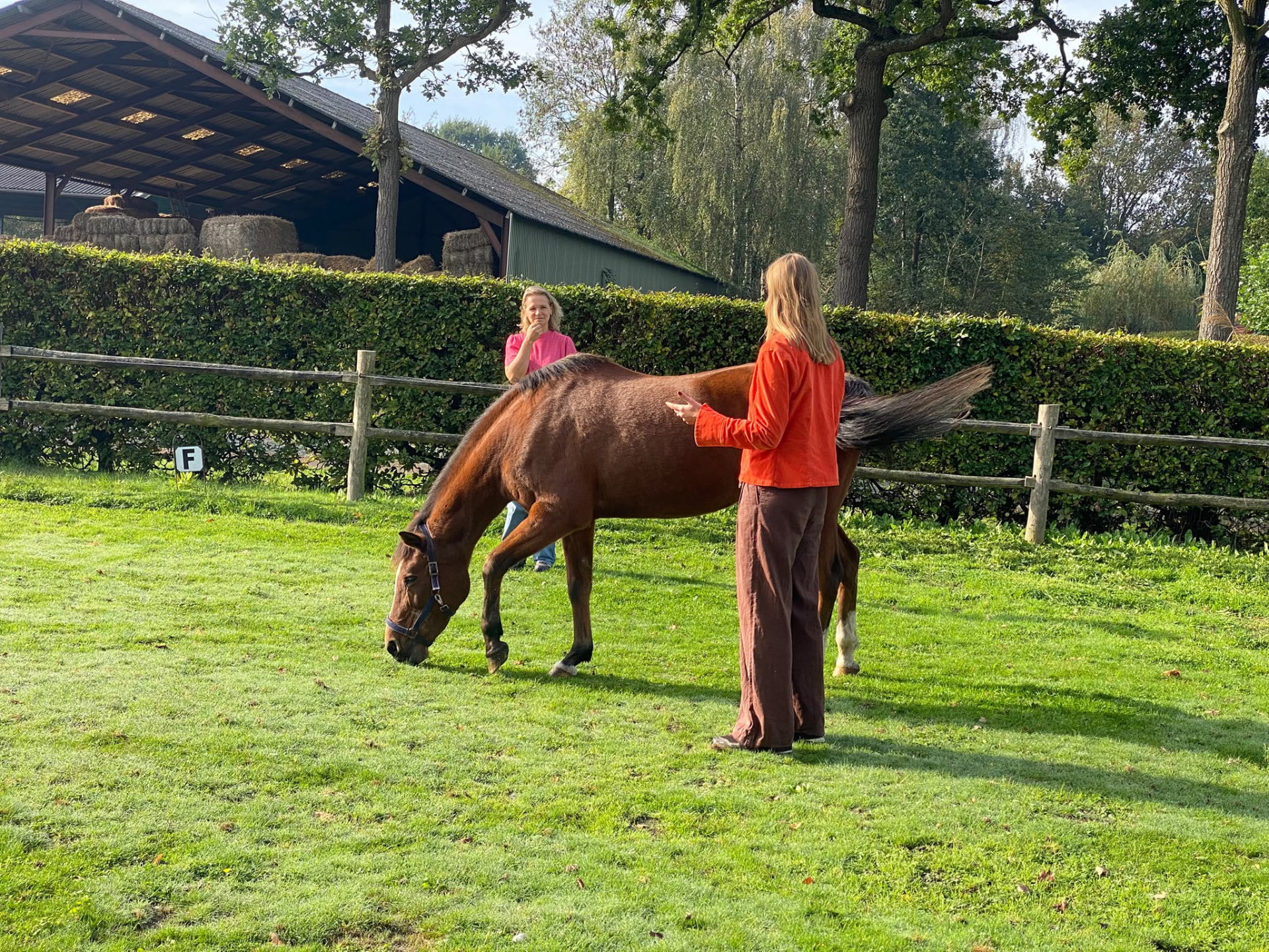 Esther aan het werk
